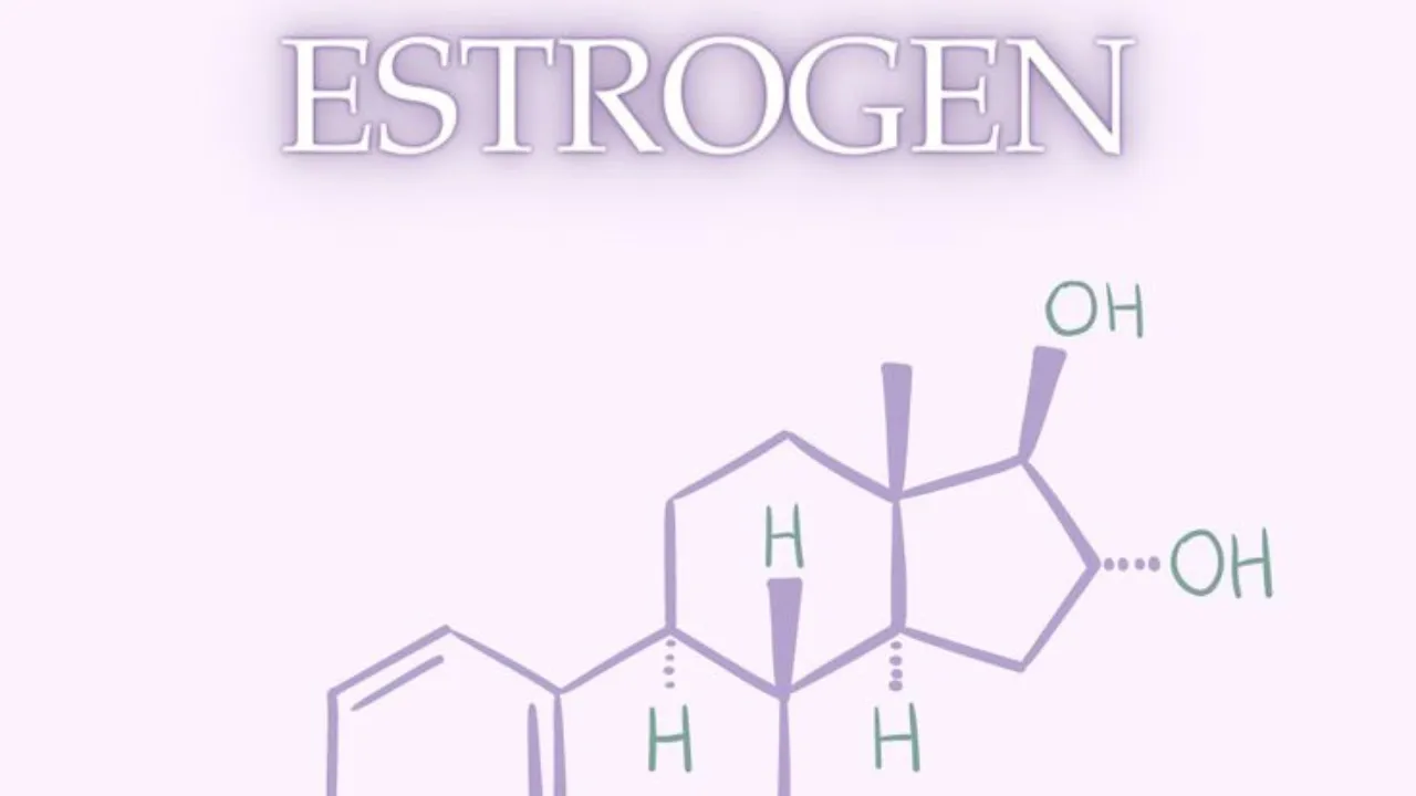 Estrogen.1