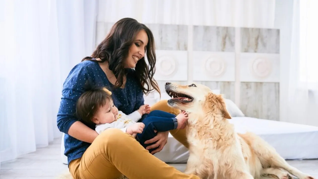 Pet Parent