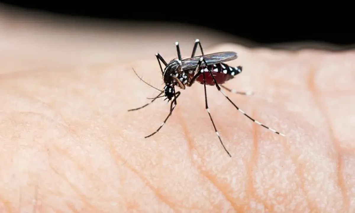 First case of Japanese encephalitis virus confirmed in Delhi