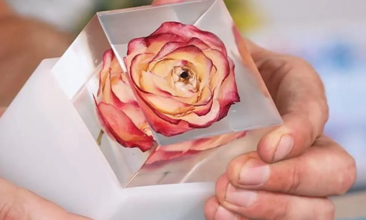 Rose day