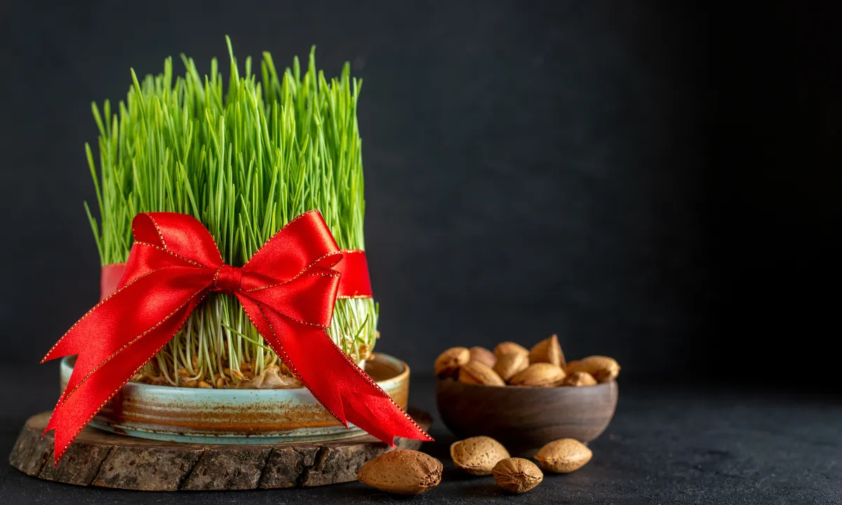 happy nowruz