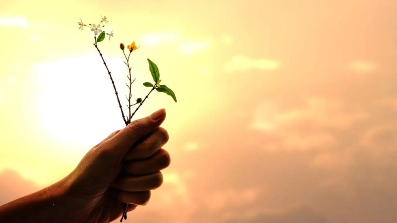 graatitude