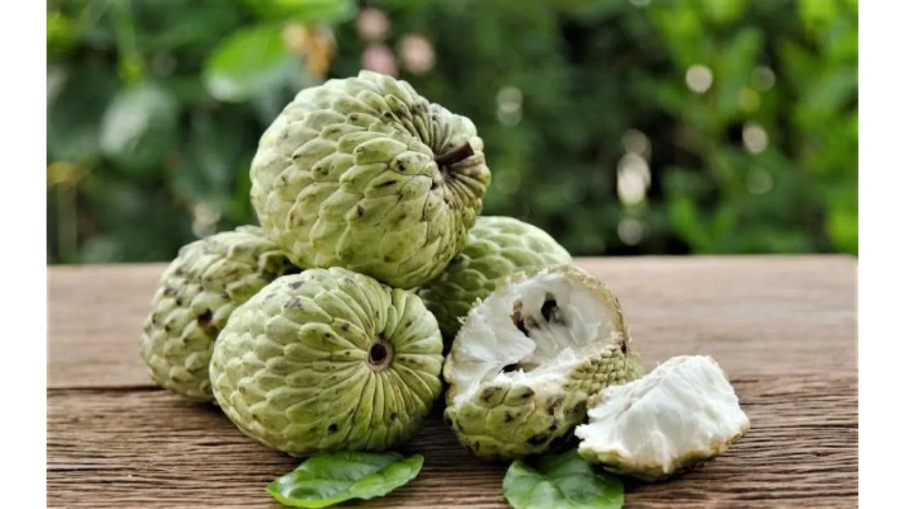 What Are The 5 Health Benefits Of Custard Apple