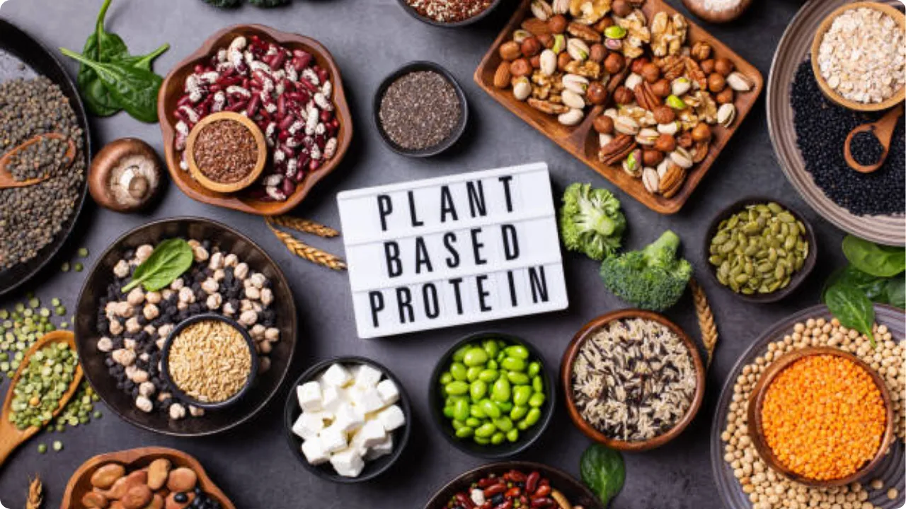 Plant Based Protein