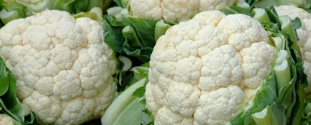 cauliflower