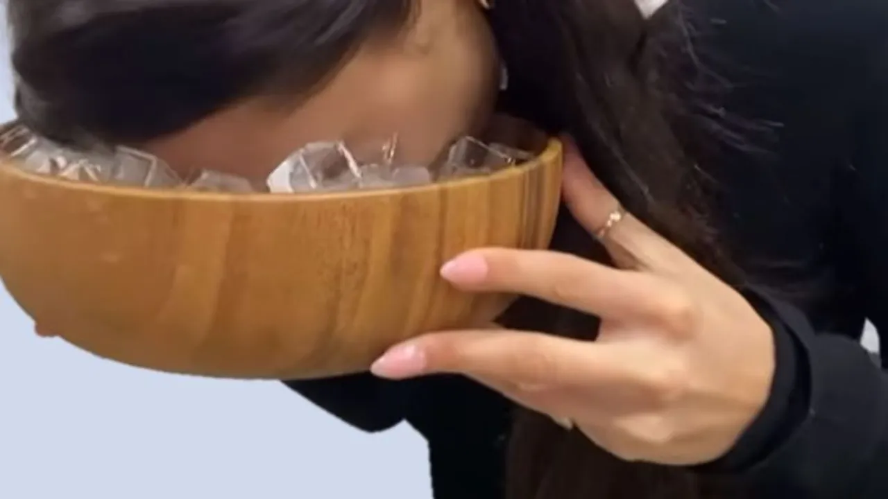  Alia Bhatt Skin Care Hack Ice Bowl, Know About It's Pros And Cons 