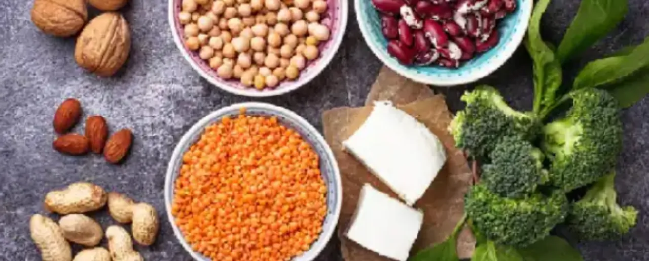 protein food