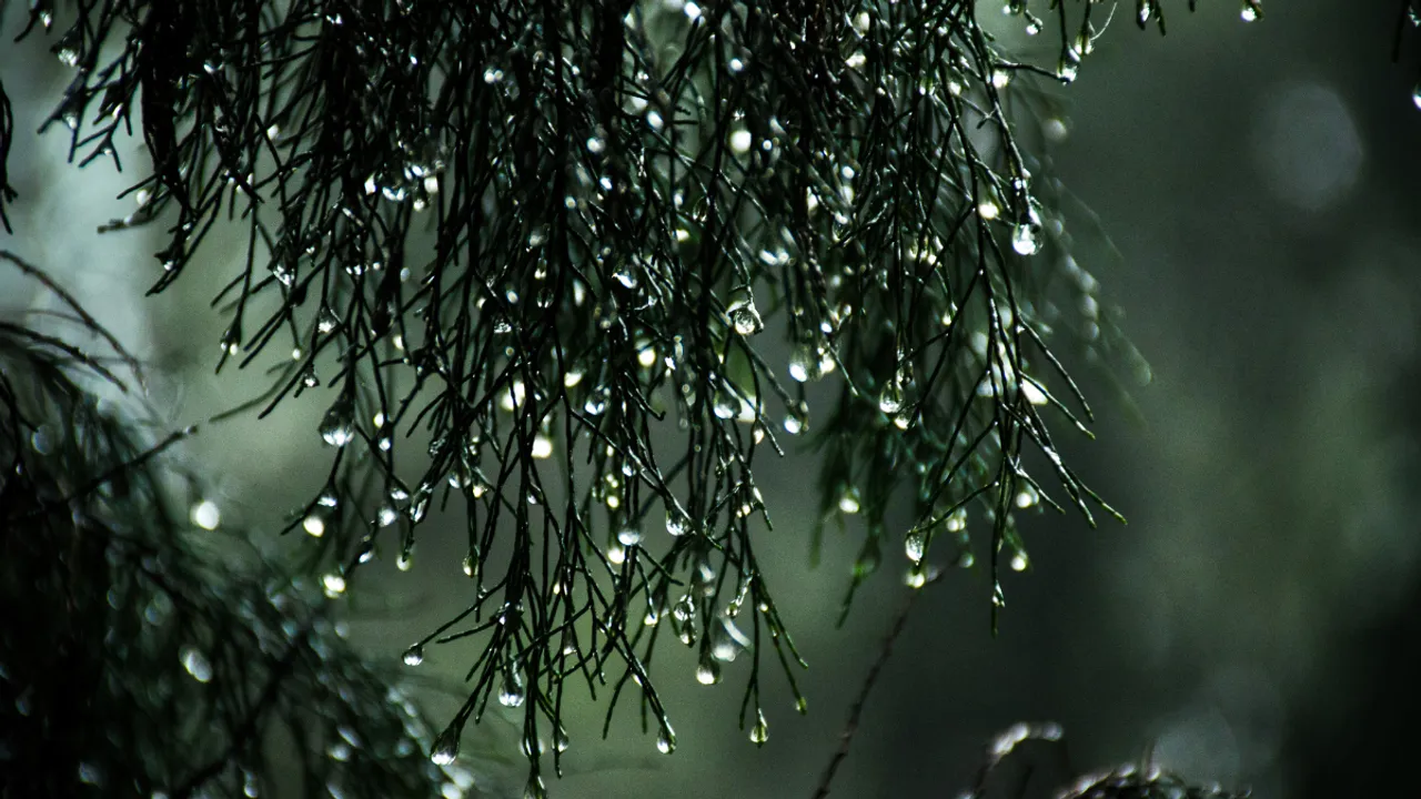 Rainfall