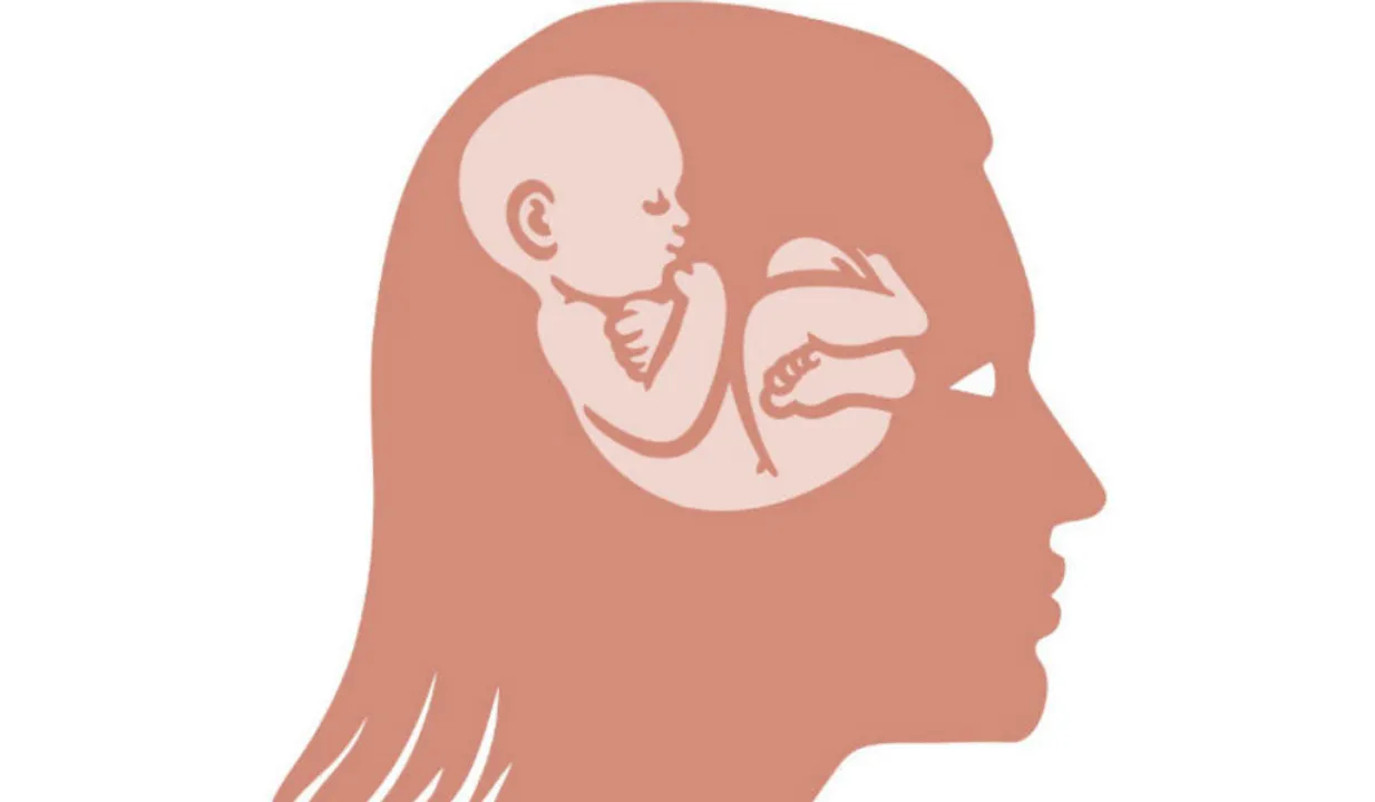  Pregnancy BrainGomedii)