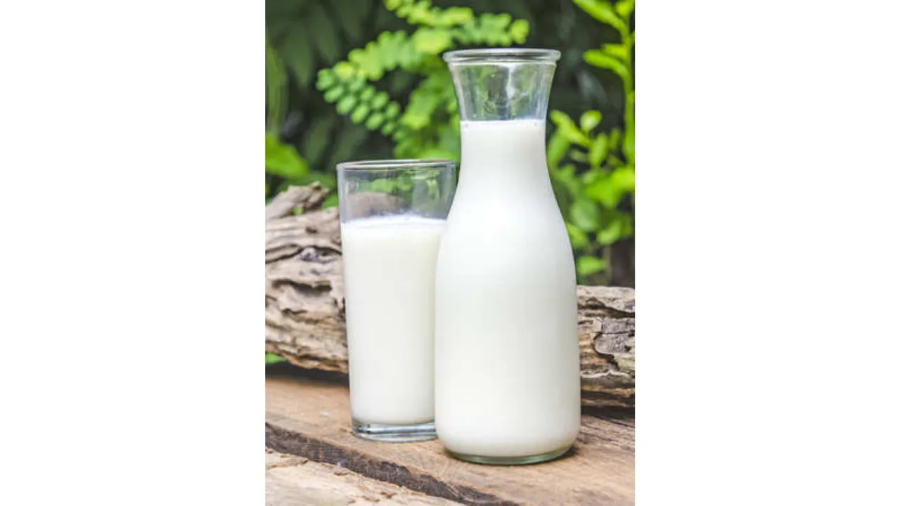 Raw milk (TOI).png