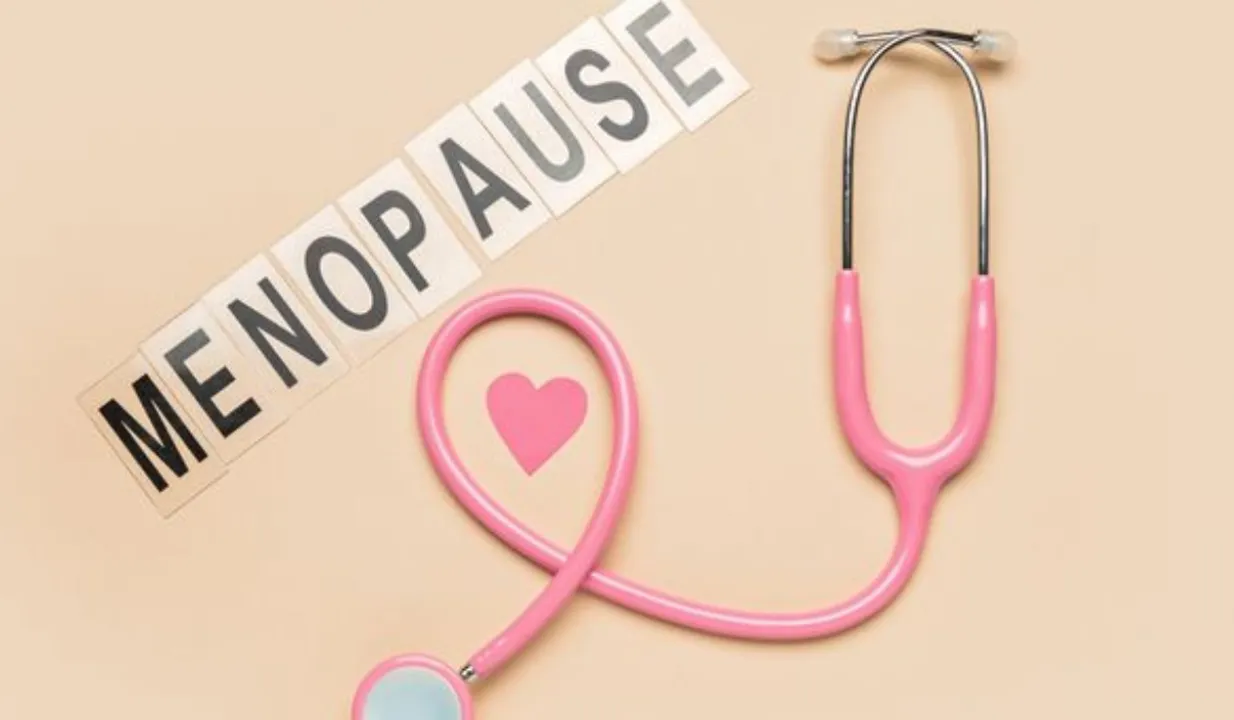 Menopause(www.nefisyemektarifleri.com)