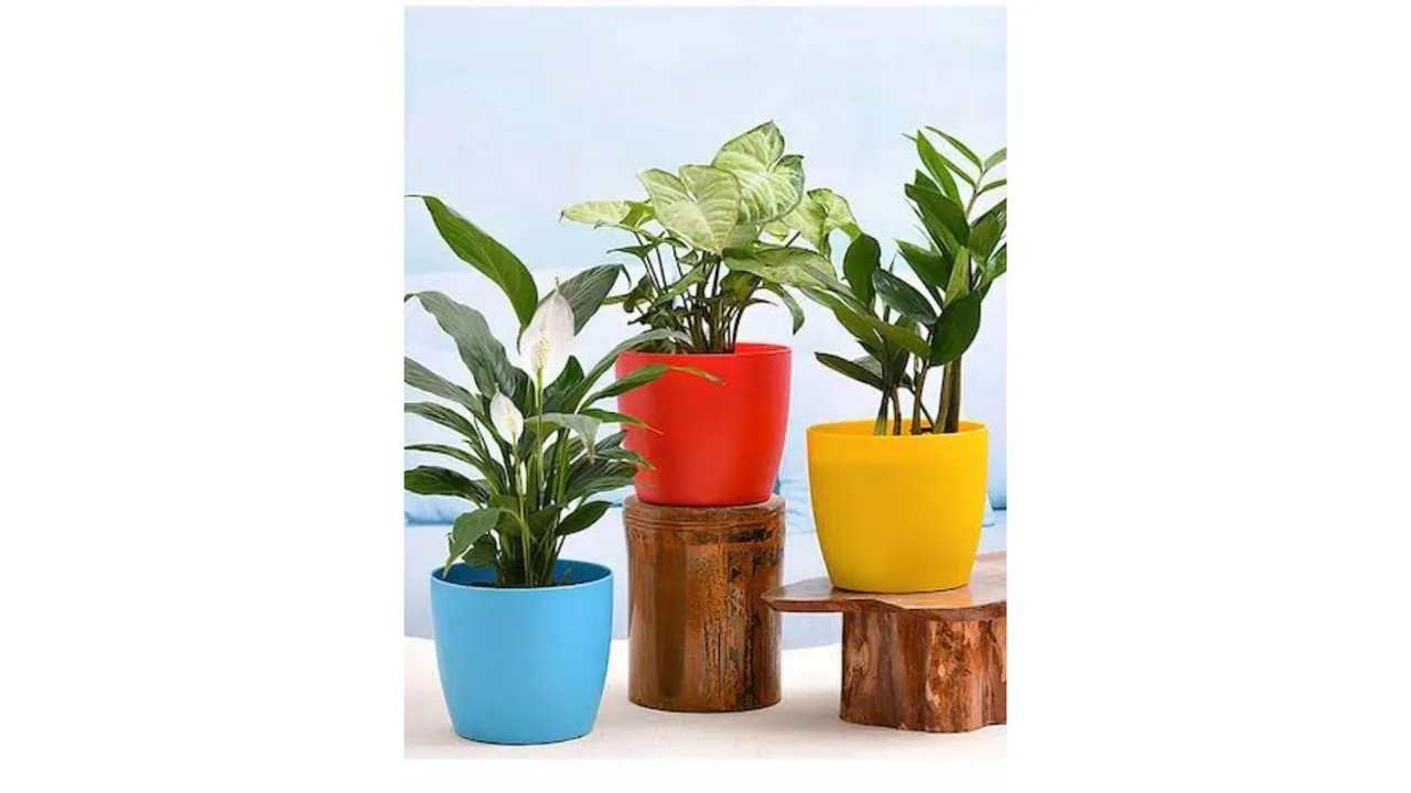 Bedroom Precautions (winni)_1.png