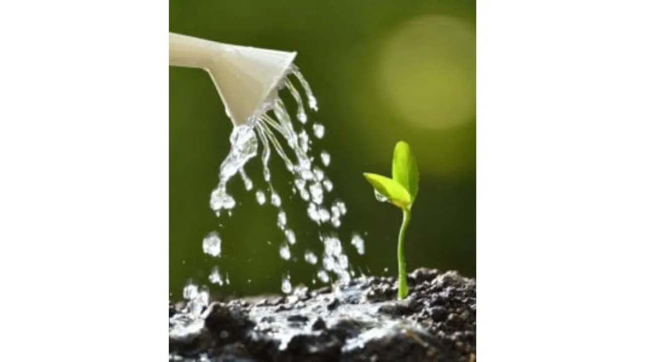 Water in plant (Gardening Know How).png