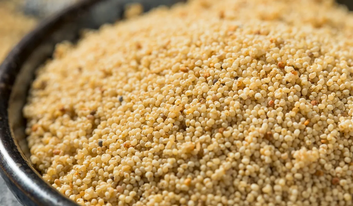 Poppy Seeds (MedCords)