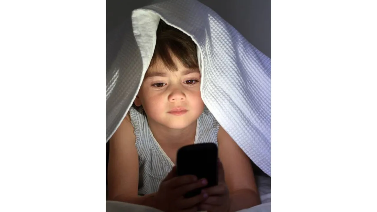 Social media (the Indian Express).png