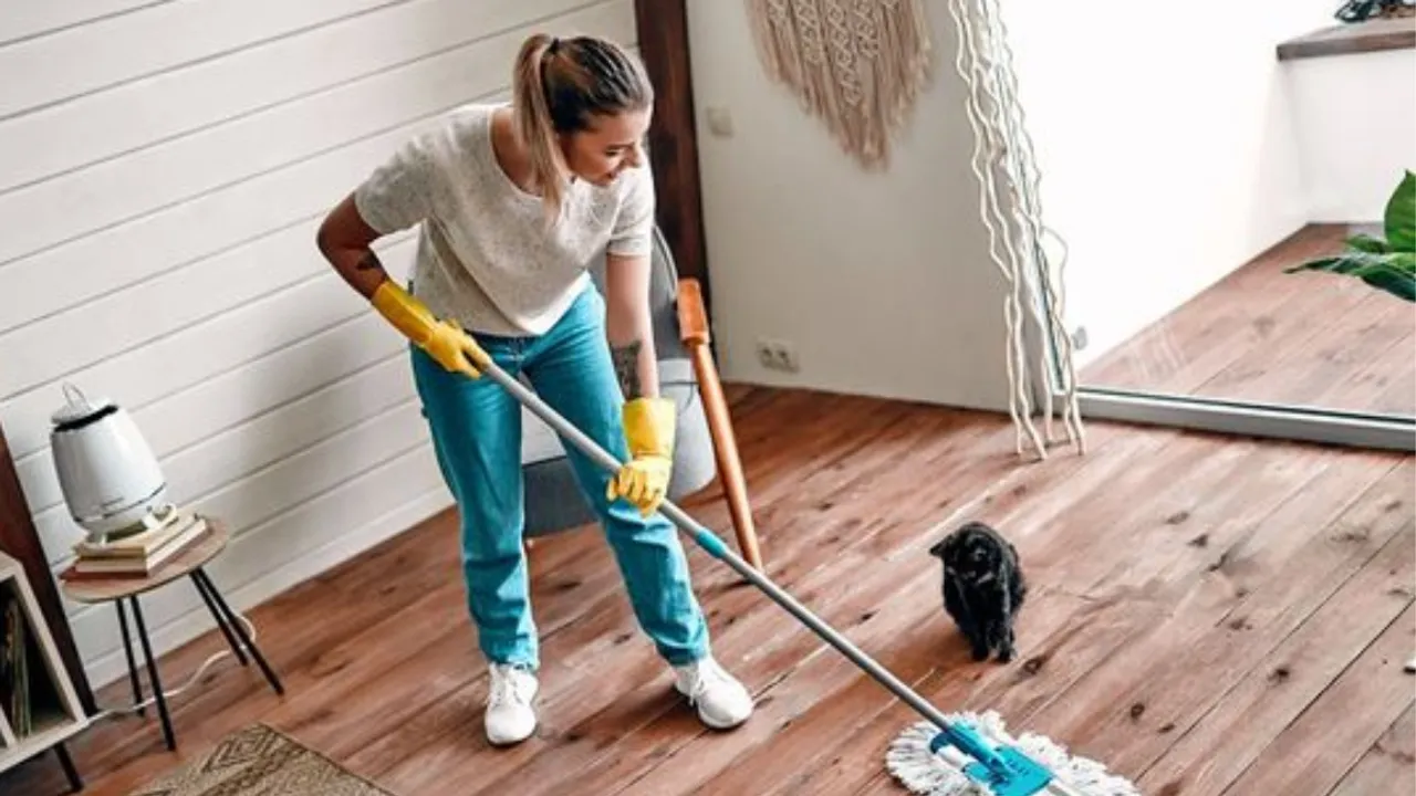 housewife (Pinterest)