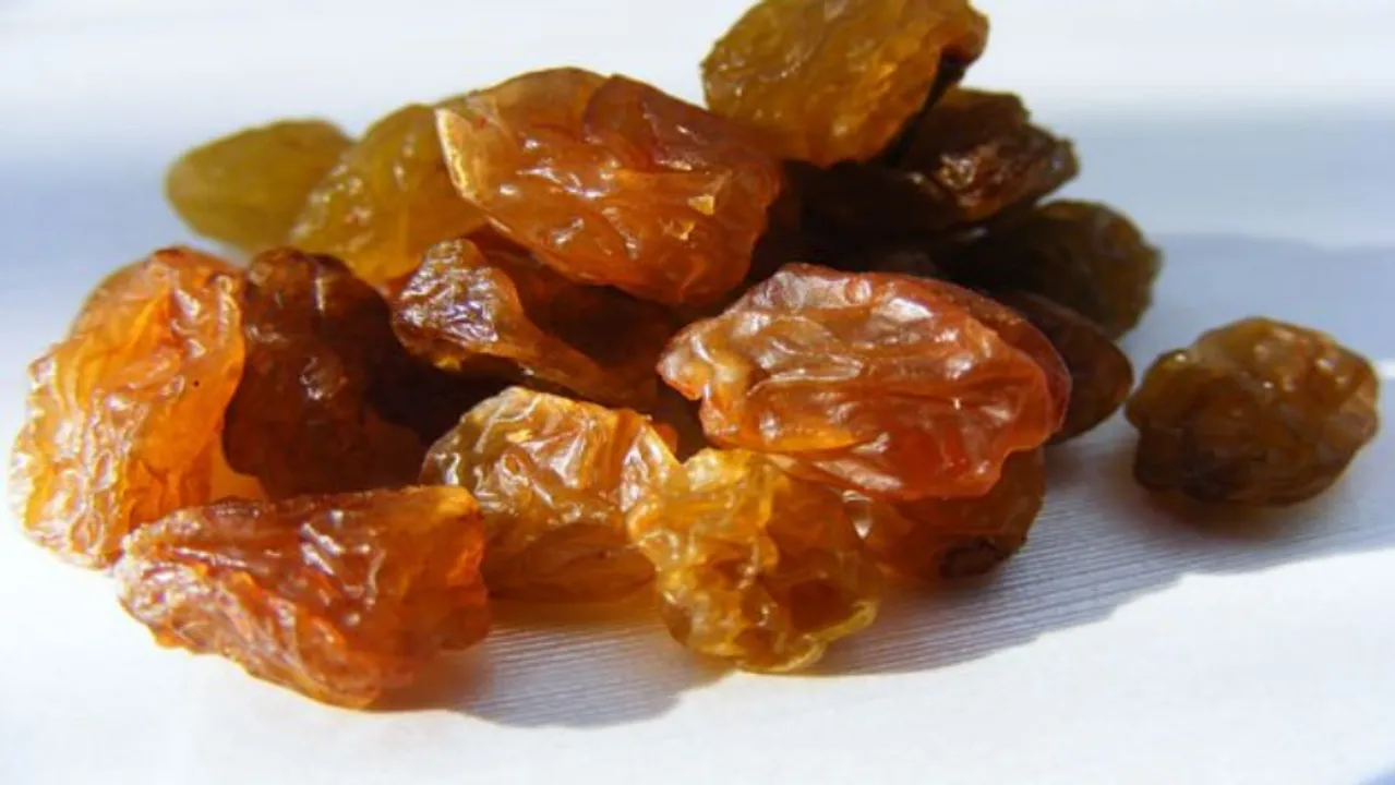 Guggul