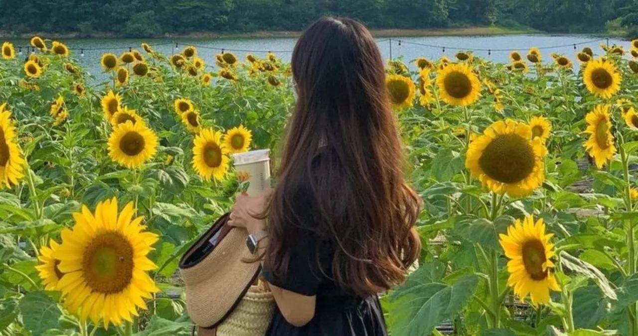 Nature Activities
