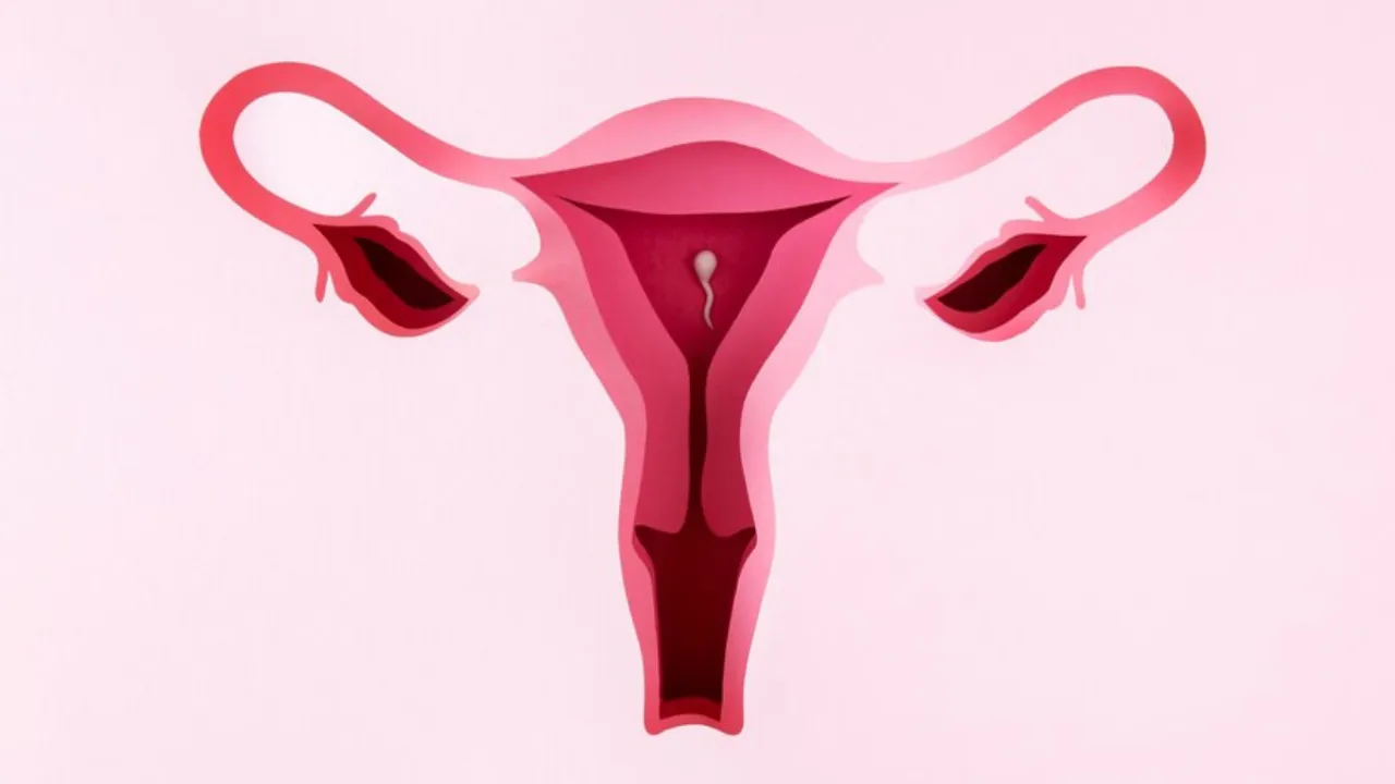 female body(freepik)