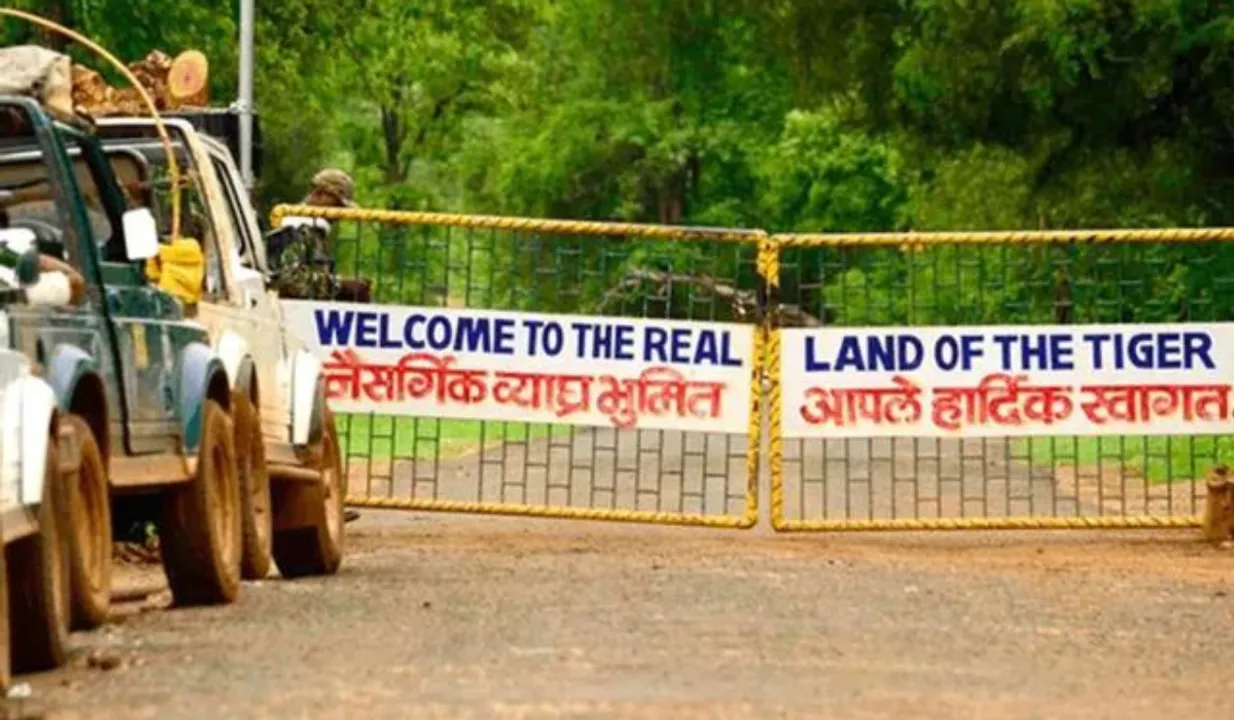 Tadoba Tiger Safari To Get Women Drivers