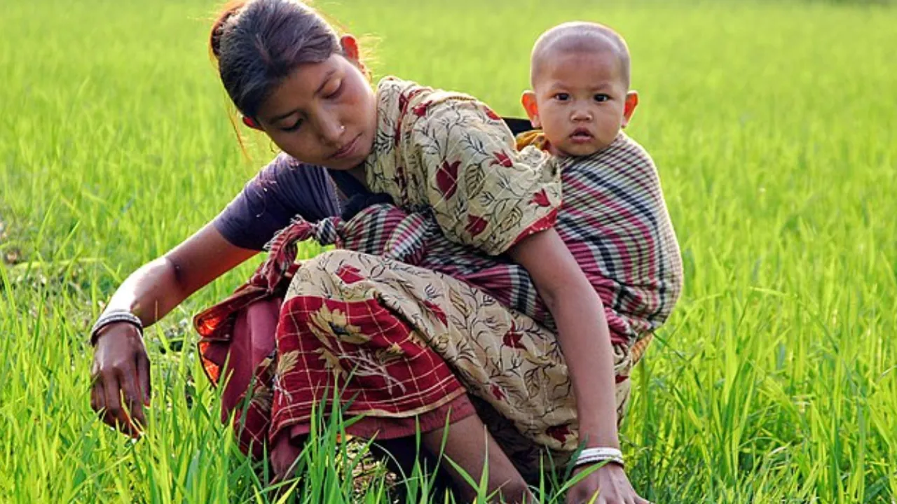 Motherhood 