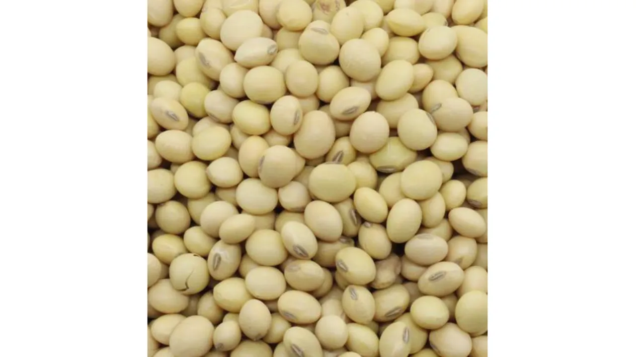 Soyabean 1(Big basket).png