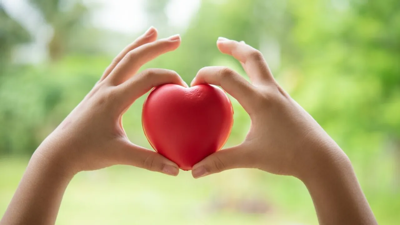  Love(Freepik)