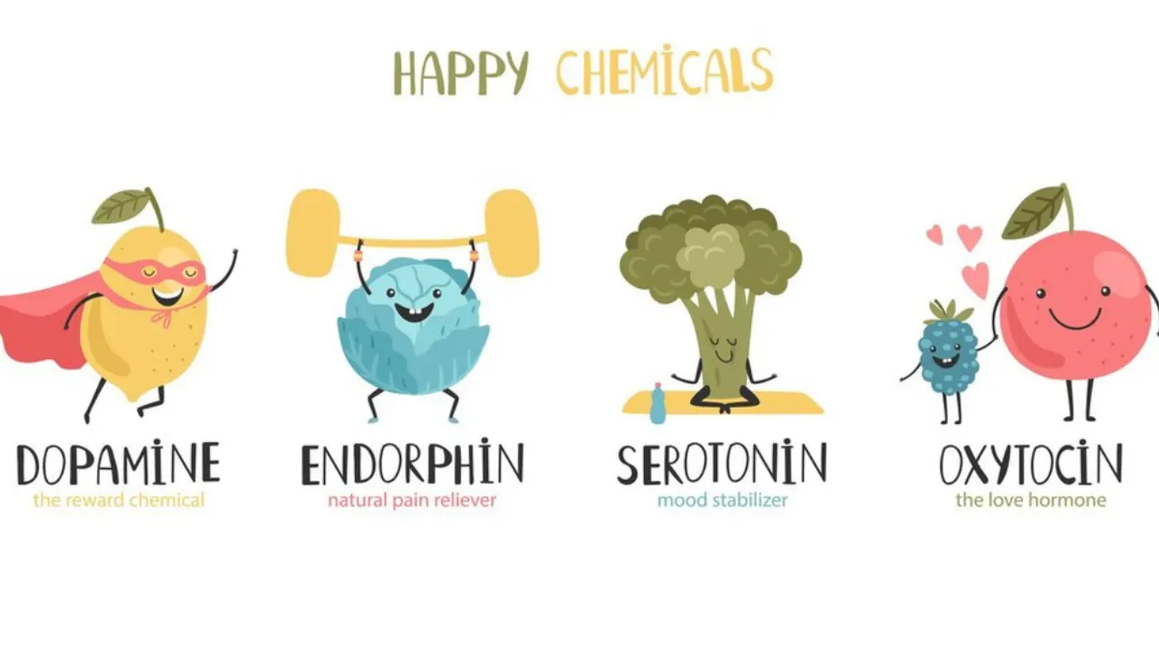 Hormones (freepik)