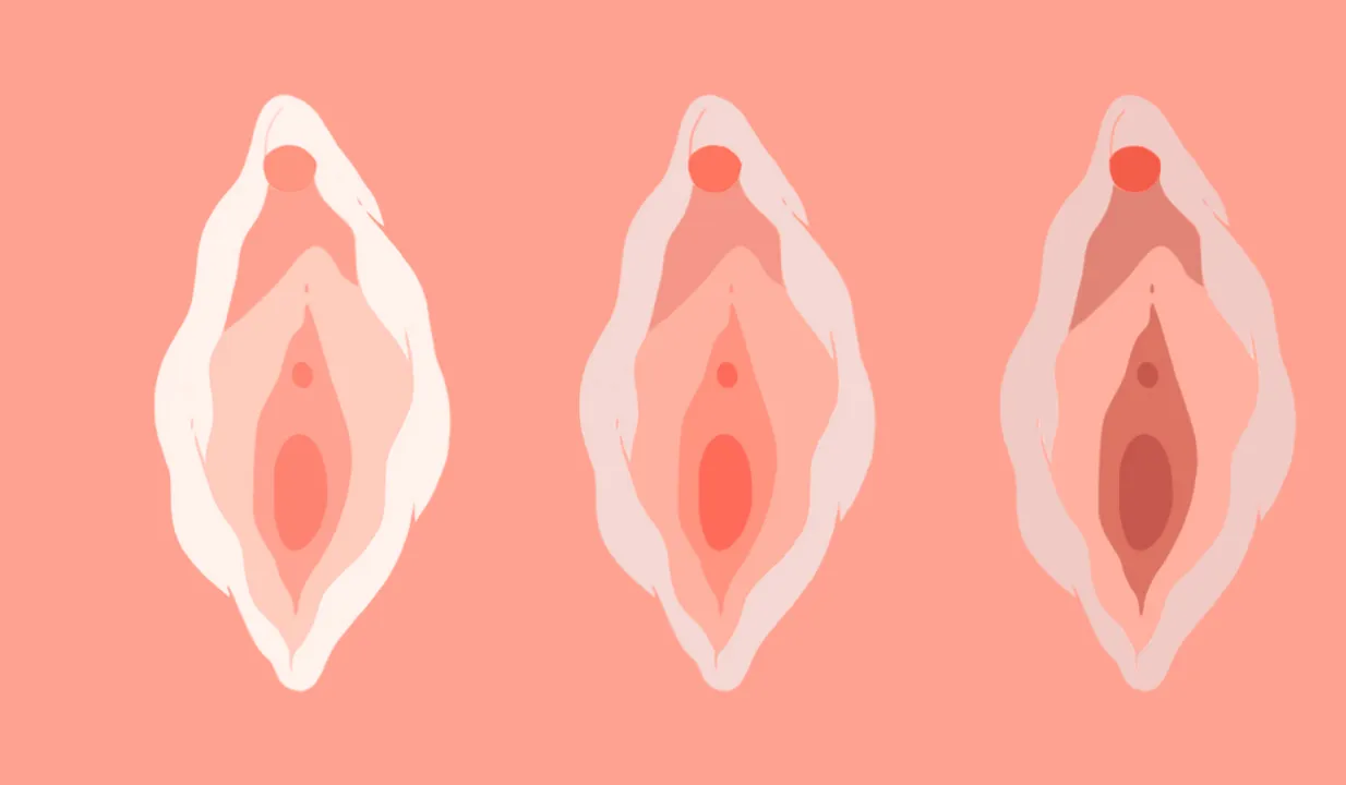 Sex after vagina 0000. png