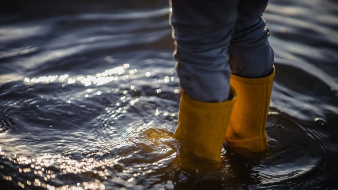 Flood