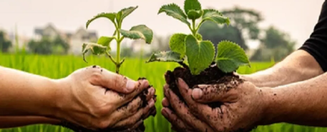 World Environment Day 2023