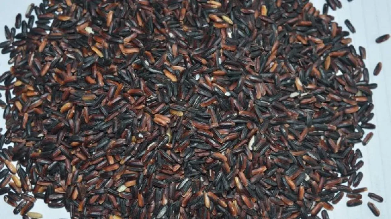 black rice benefits 