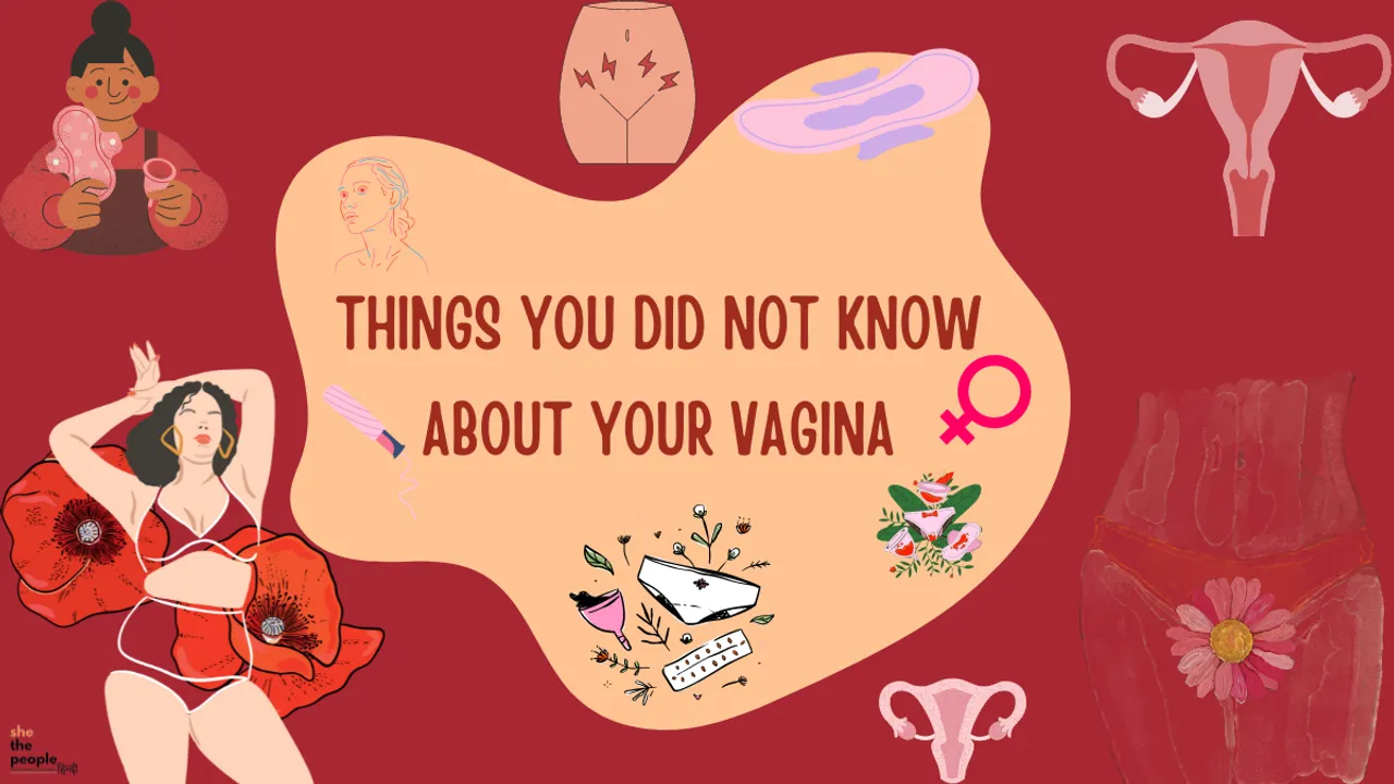 Vagina 