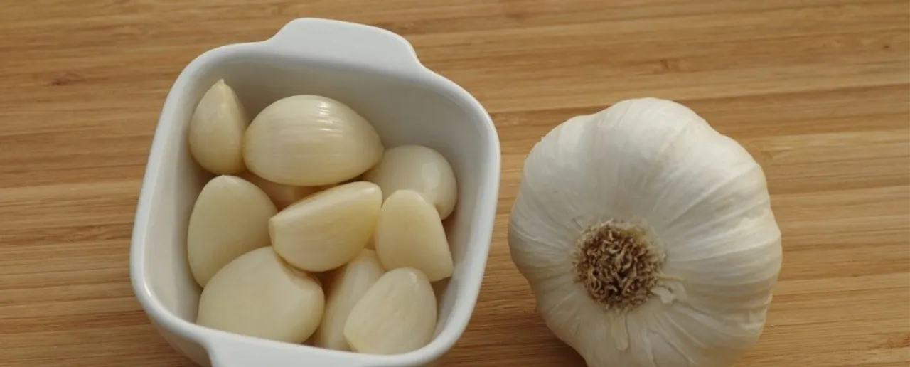 Garlic