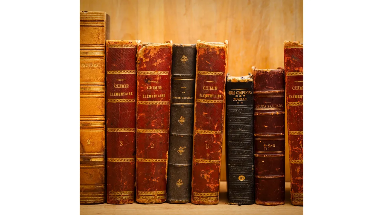 Books (ProQuest).png