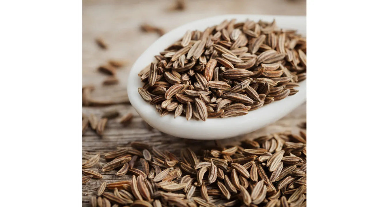 Jeera, Cumin (GreenDNA).png
