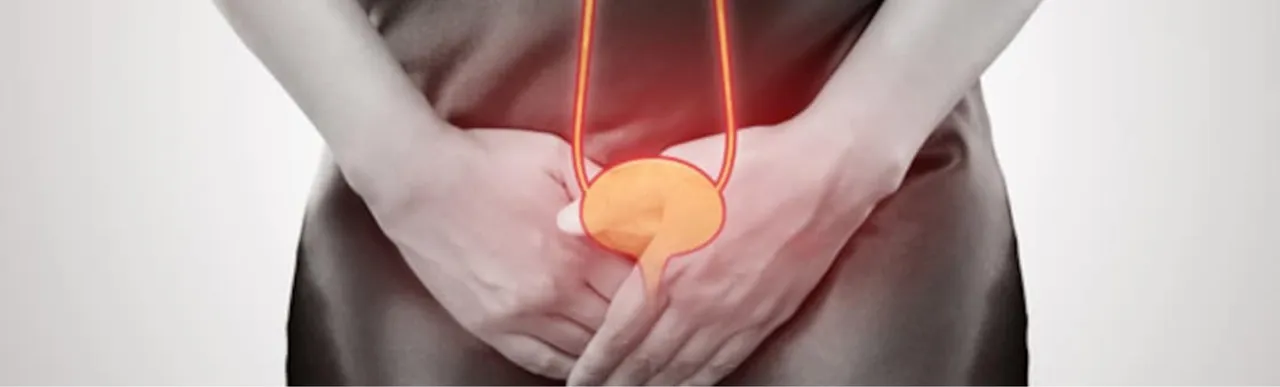 Utis 00 .png