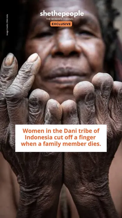 https://www.instagram.com/reel/DEpSeJFzHE1/?igsh=MXdpeDBkOGs3eHNncw==