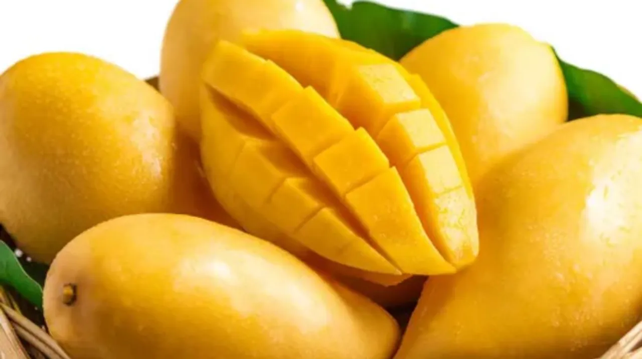 Tips For Eating Mango: गर्मियों में आम खाने के कुछ आयुर्वेदिक तरीके 