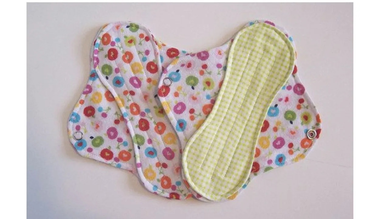 Eco Friendly Menstrual Products: क्या होता है और क्यों यूज़ करें? 