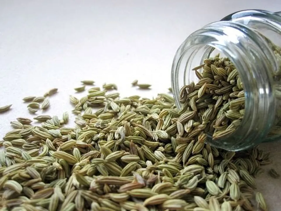 Benefits Of Fennel Seeds: एक बार जरूर पढ़िए सौंफ के यह 5 बड़े फायदे