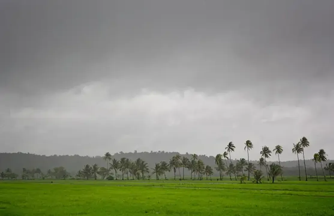 क्या मॉनसून में बढ़ सकता है कोरोना, जानिए क्या है एक्सपर्ट्स की राय 