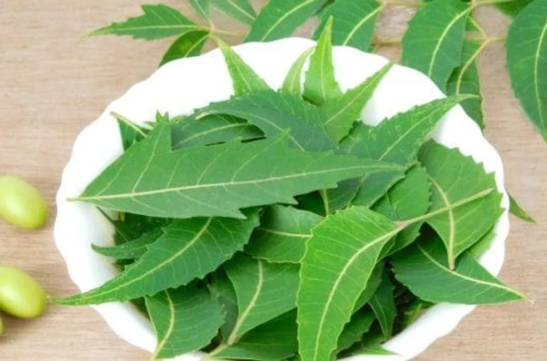 क्या आप भी नीम के इन फायदों से अनजान हैं?