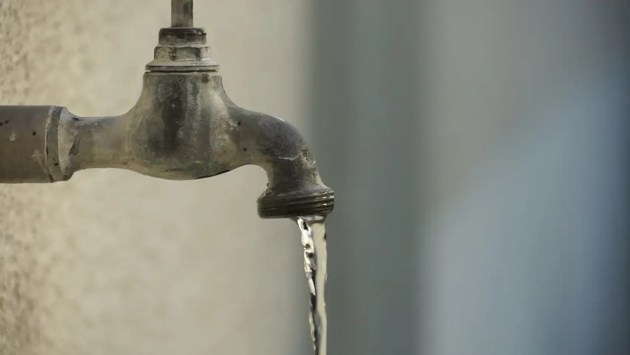 गर्मियों में जानवरों के लिए पानी जरुर रखें