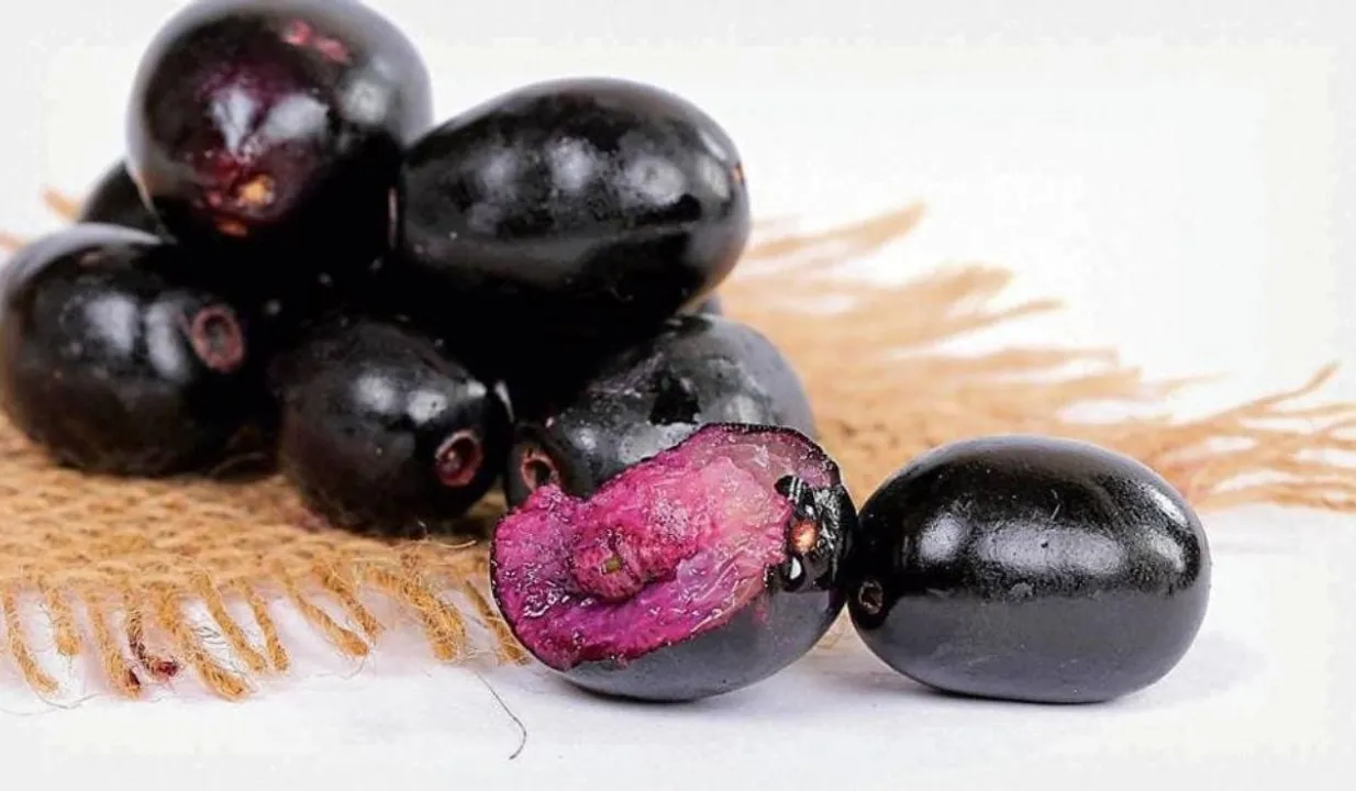 Jamun In Pregnancy : क्या प्रेगनेंसी में खाना चाहिए जामुन? 