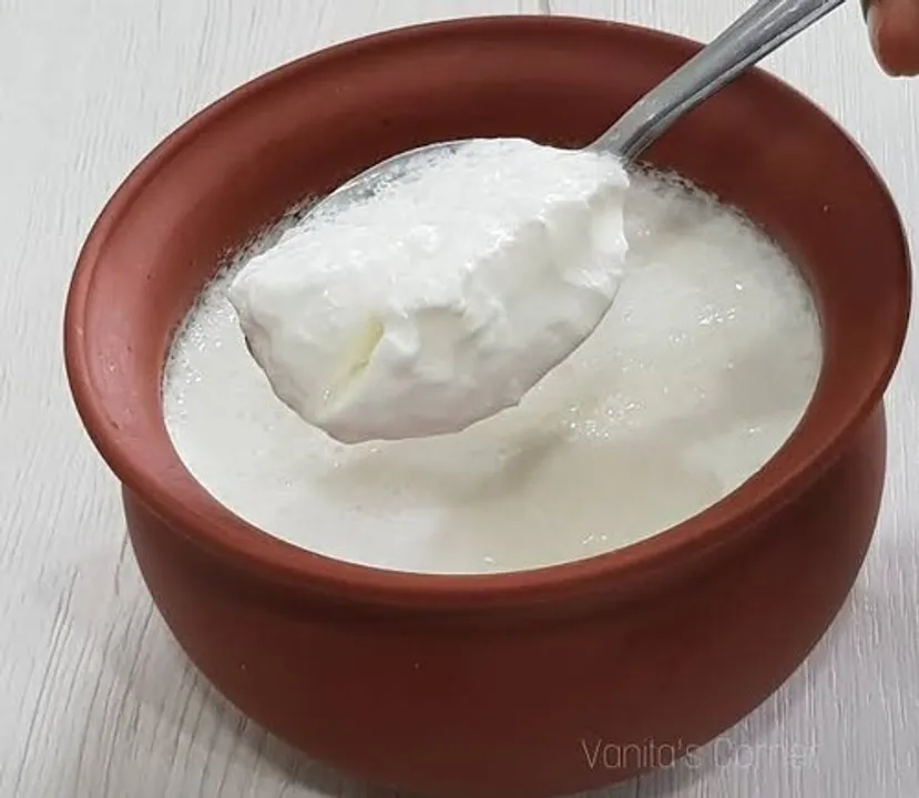 Curd In Monsoon Facts And Myth: क्या मॉनसून में दही खाना है सही?