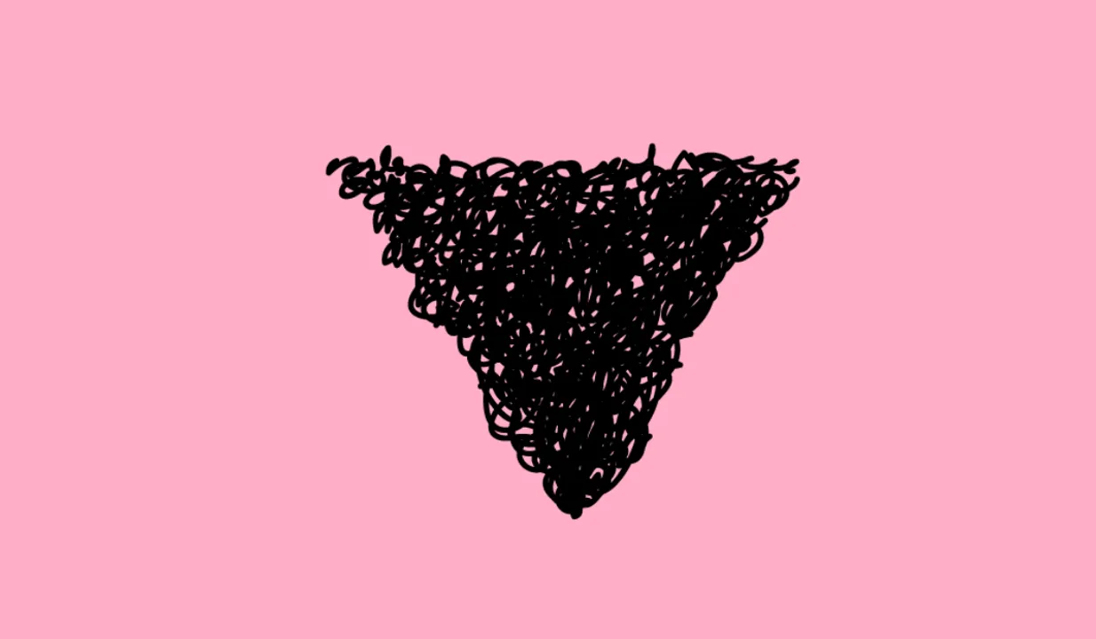 Pubic Hair Shaving: अपने प्यूबिक हेयर को शेव कब नहीं करना चाहिए? आइए जानते है