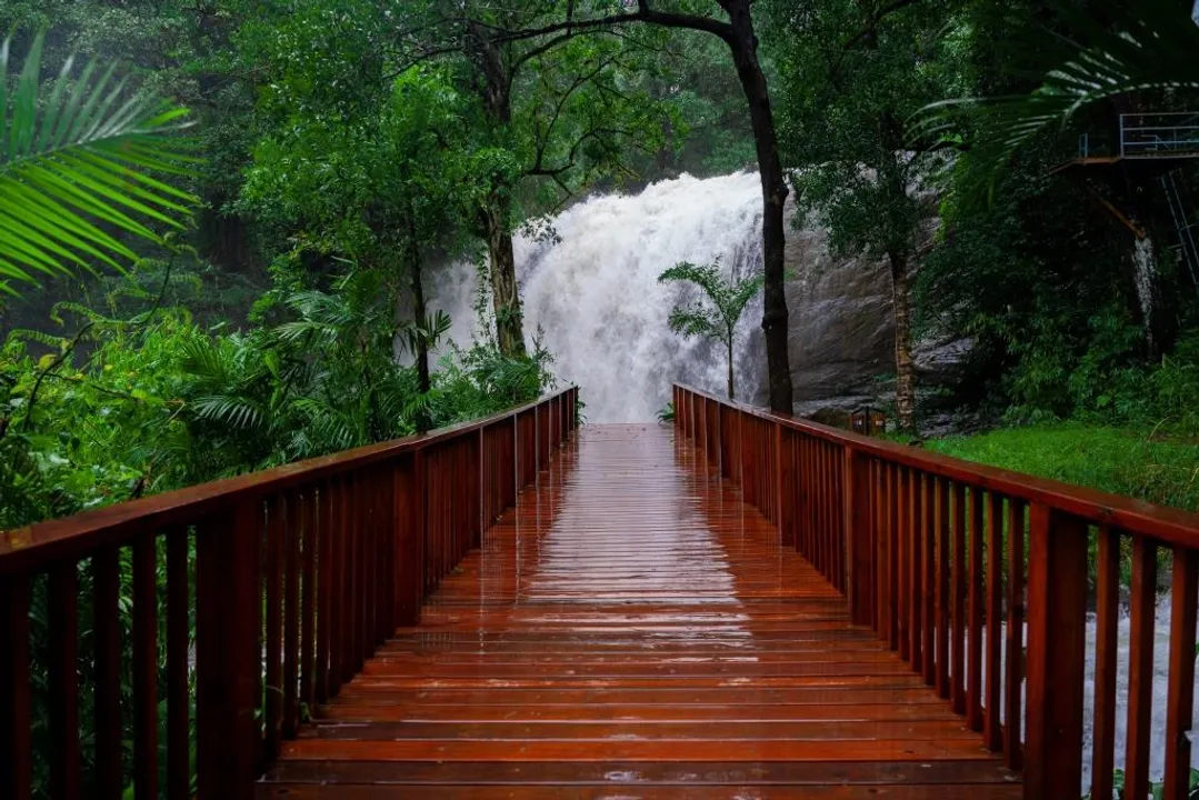 Ayatana Coorg (6)
