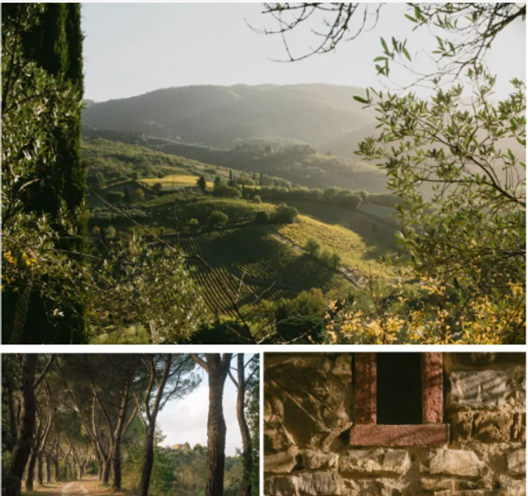 Screenshot 2025-10-09 145958