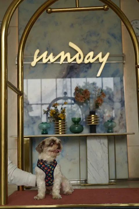 CheckIn Pet Friendly Stays img 3